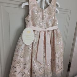 New Princess Dress Size 4T