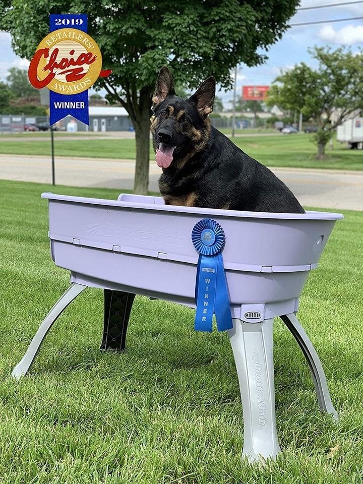 Booster Bath Elevated Pet Bathing Tub, Large, includes steps.