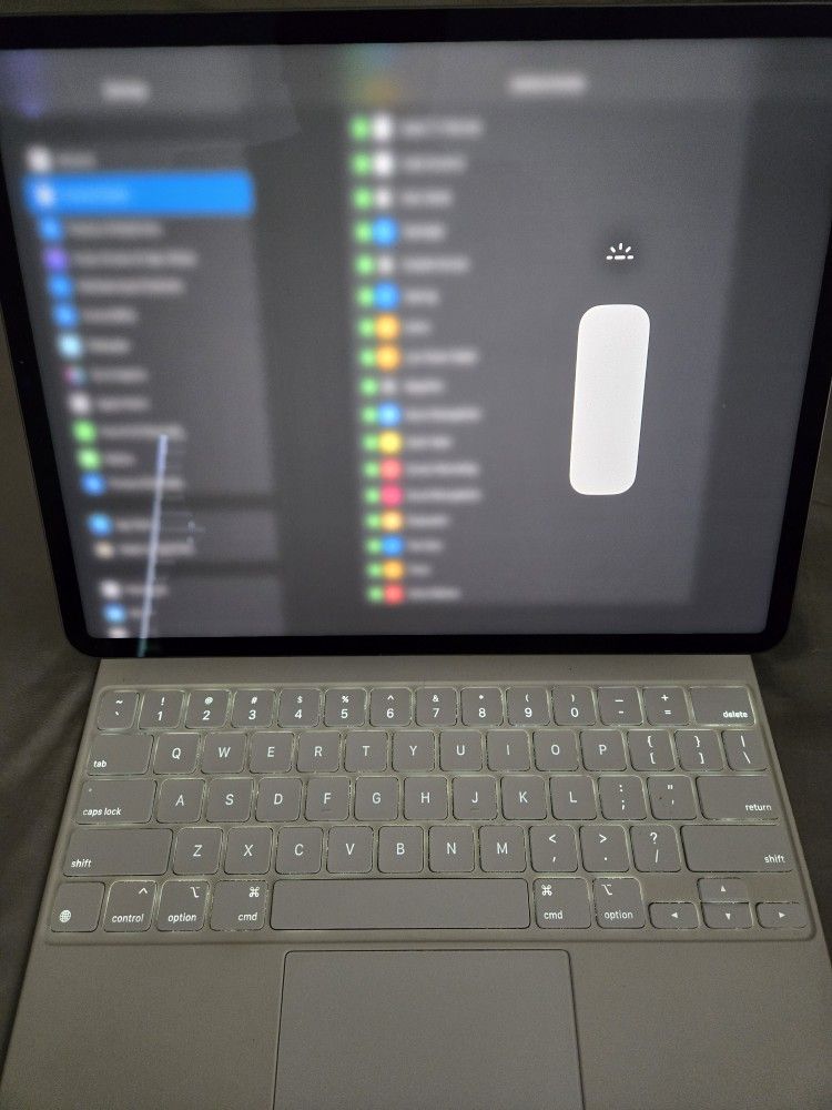 Apple Magic Keyboard 12.9 iPad Pro (paid 380$)