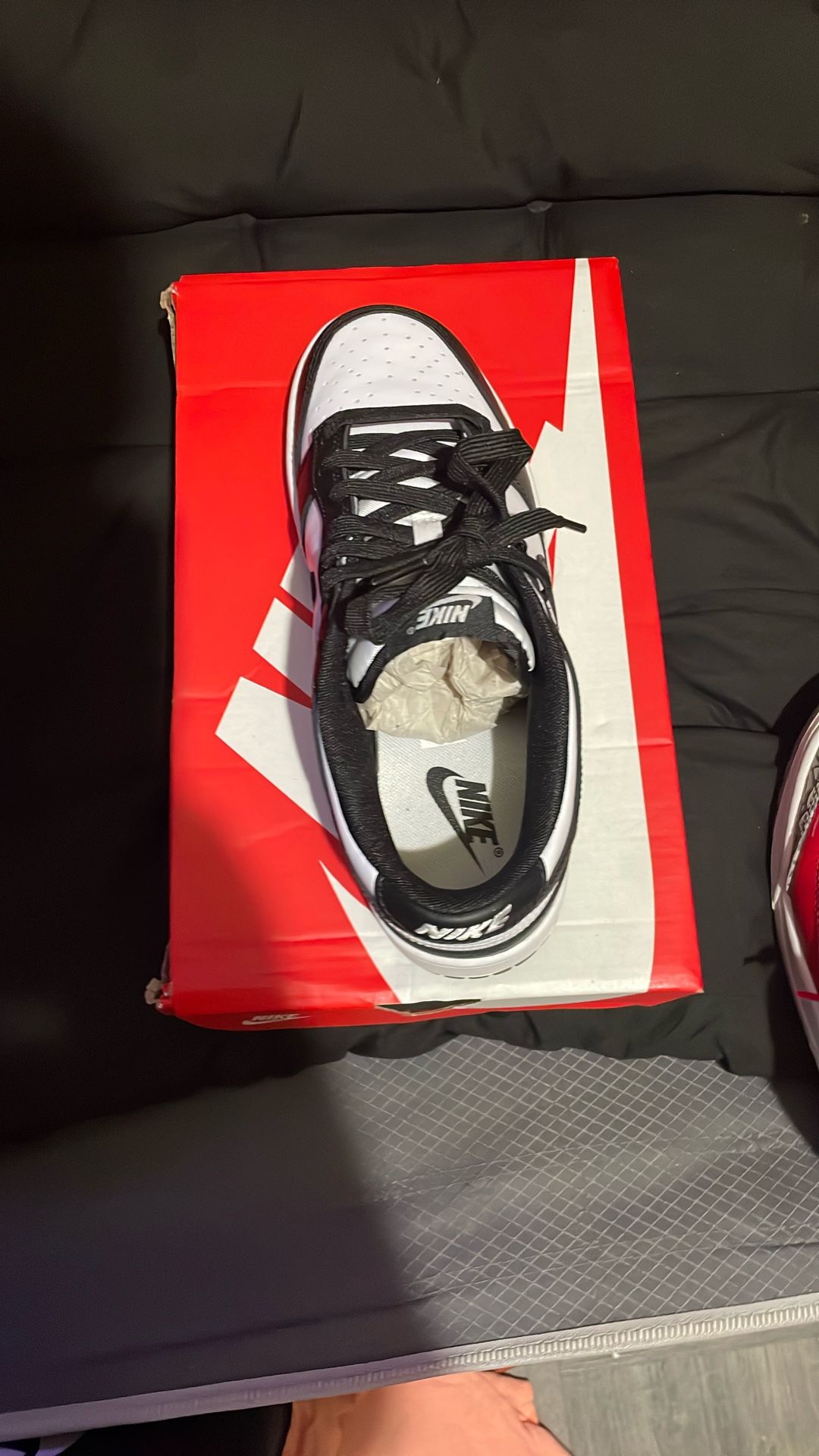 Nike panda