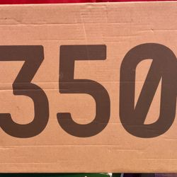 Yeezy Boost 350 Sz.11.5 9.3/10