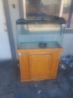 Fish tank