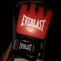 Mma Pro Style Grappling Gloves L/XL