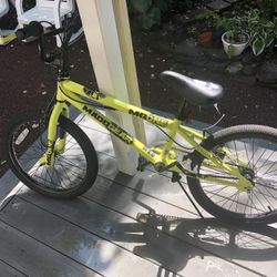 20” Bike 