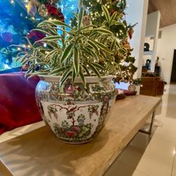 Médium Size Rose Medallion Fish Bowl Plant Pot