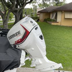 Evinrude Part Out 2007