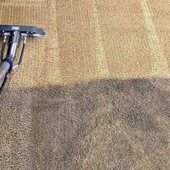 CARPET STEAM SHAMPOO