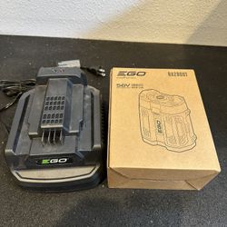 Ego 5.0 AH battery + charger