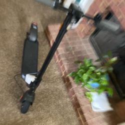 Kqi1 Sports Scooter 