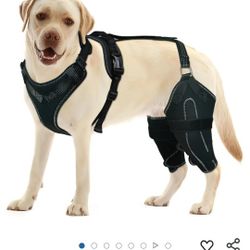Dog Acl Knee Brace for Torn Acl Leg, Luxating Patella, Dog
Knee Braces for Back Leg Warm Joint and Relieve 