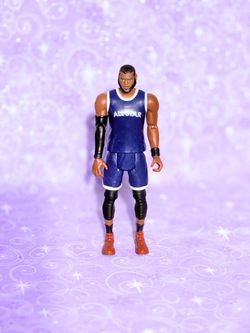 LeBrawn James (Acme Baller)