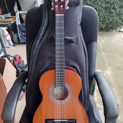 Acoustic Guitar