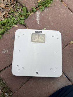 Weight Scale