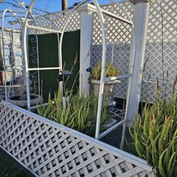 Lot Of white lattice panels