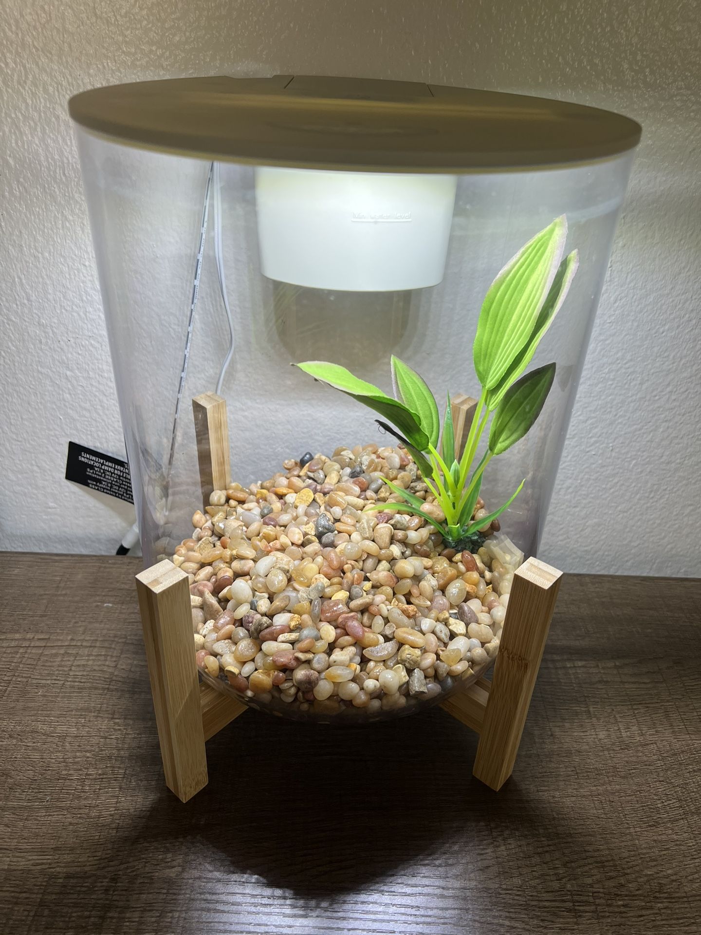 Fish Tank