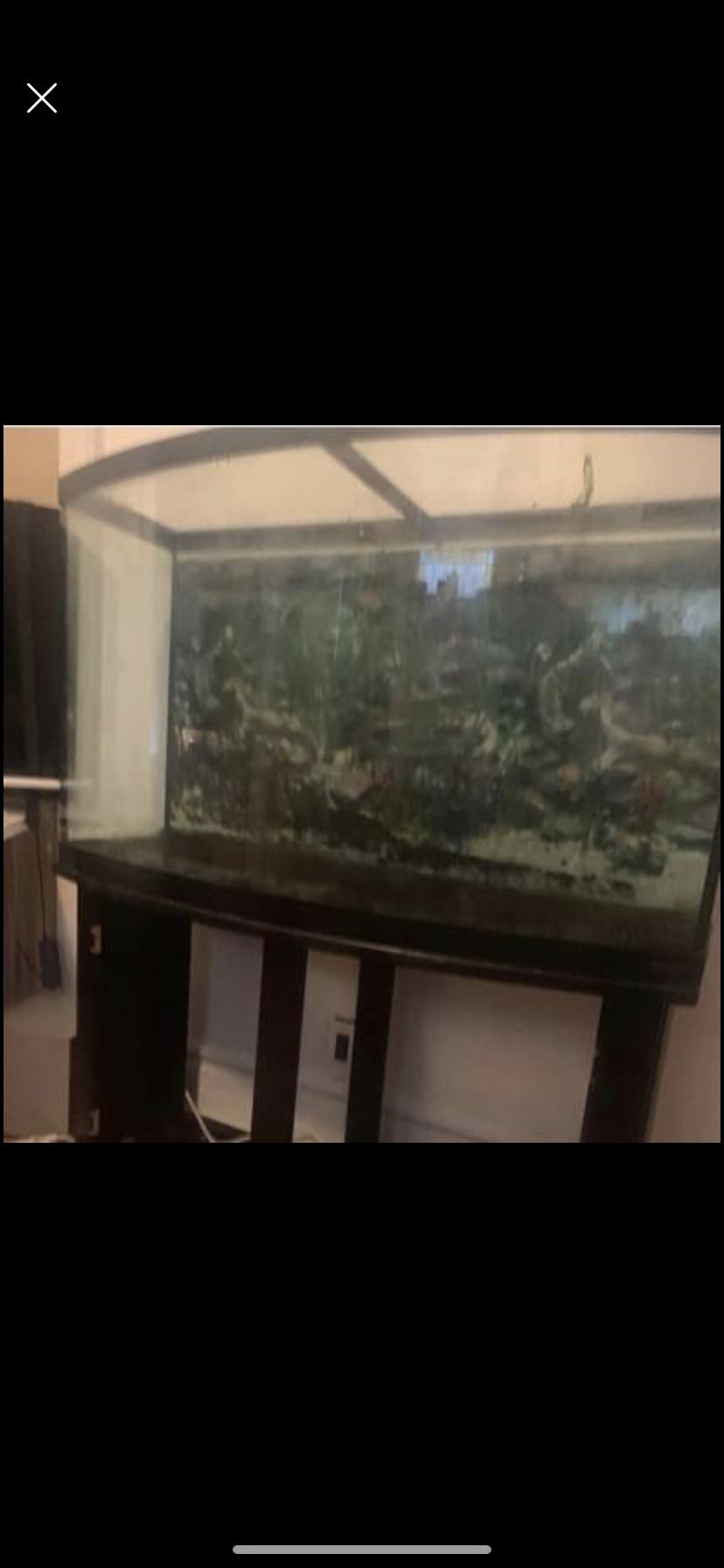 Fish Tank And Filter