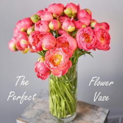 CYS EXCEL Cylinder Clear Glass Vase (H-16" D-6") | Multiple Size Choices Glass Flower Vase Centerpieces | Hurricane Floating Candle Holder Vase.

New 