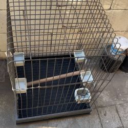 Bird Cage 