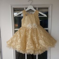 Girls dress size 3t 