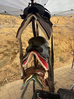 Horse Saddles and Equipment