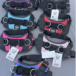 Joyride Harness for Dogs, No-Pull Pet Harness with Customizable Name Tag, Glow in The Dark Logo, 3 Side Rings for Leash Placement, Adjustable Pet Vest