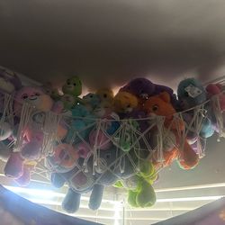 Giant care bear collection