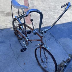 1966 Schwinn Fastback Project 
