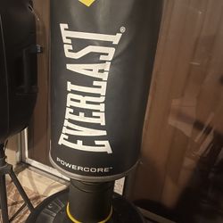 Everlast Punching Bag For Boxing