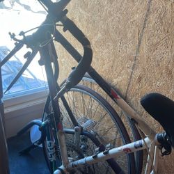 Olympic Fixie For Sale Lmk