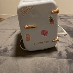 Beauty Skin Care Fridge