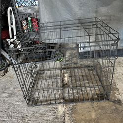 Dog Kennel