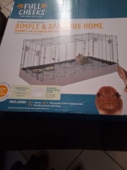 New