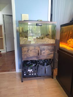Fish tank