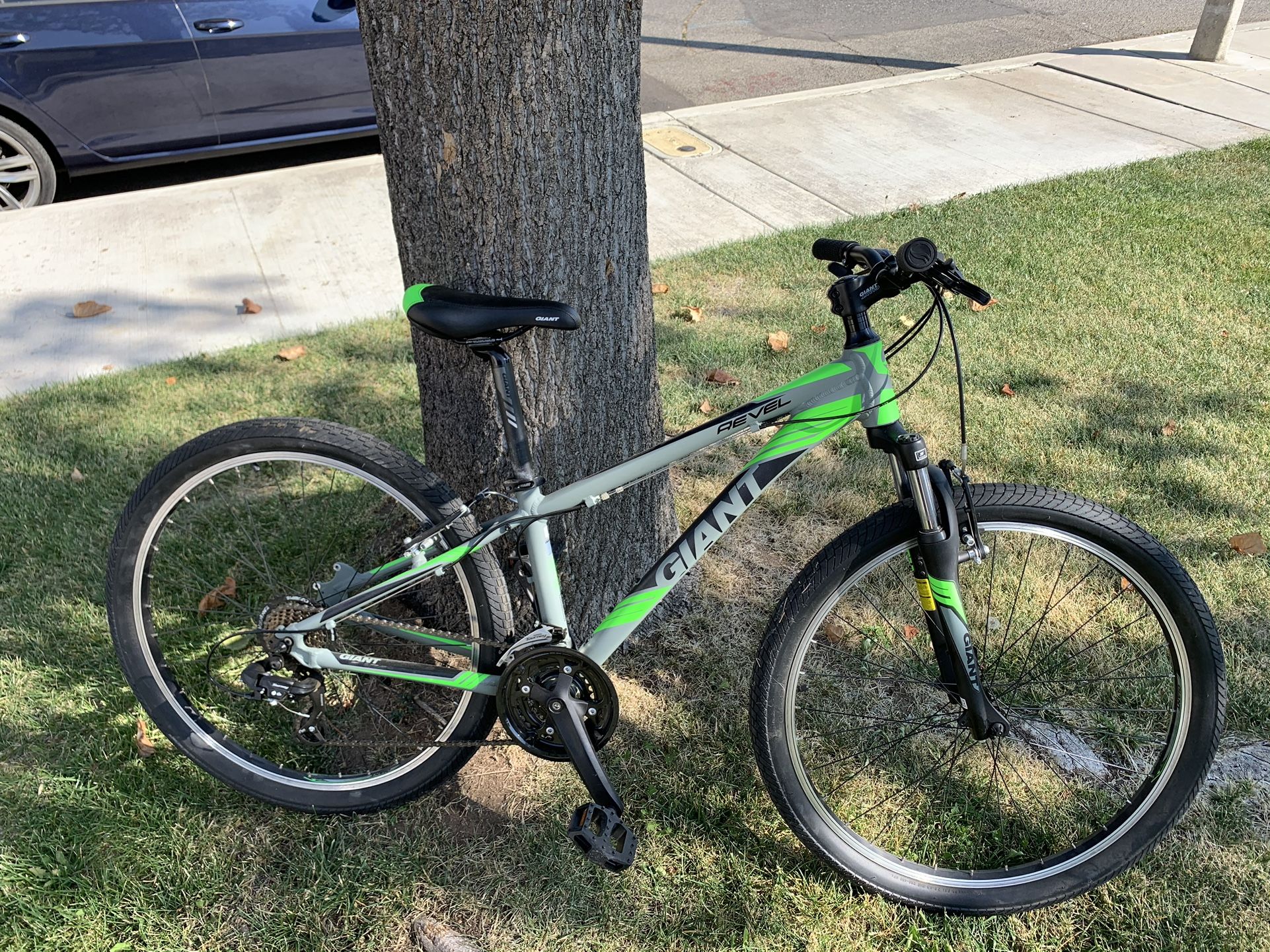 Giant Mountain Bike
