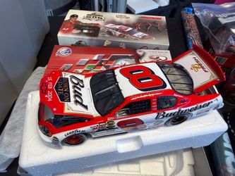 Dale jr Daytona winner