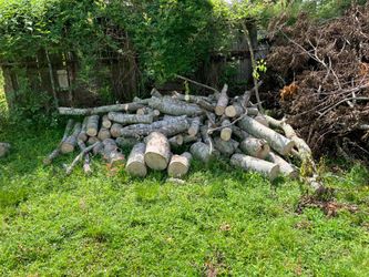 Free logs