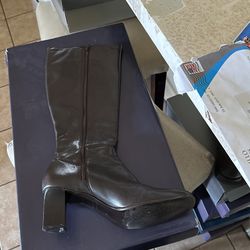 Ann Taylor Boots