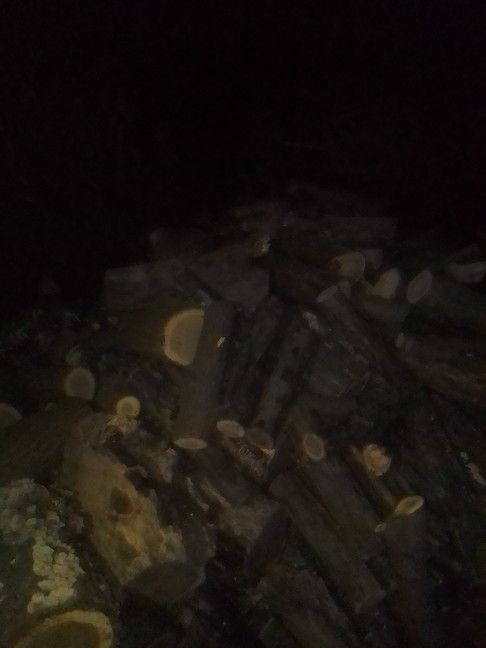 Wood For Sale Half Cord For 60$ A Cord For 120$ Seasoned 