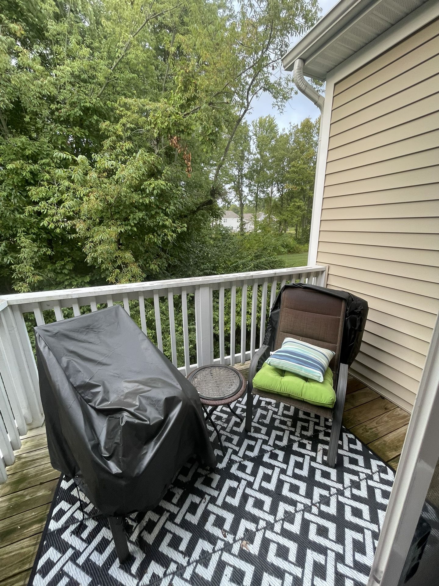 Patio Furniture, Including Cushions Furniture (Seller Keeping The Chair Covers)