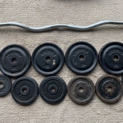 65 lb 1" Iron Weight Plates + Curl Bar