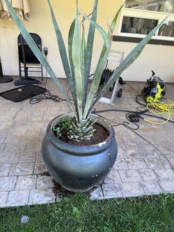 Large Black Ceramic Outdoor Planters Set of 4