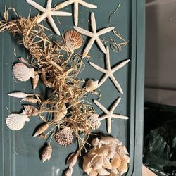 Sea Stars And Shells For Your Christmas’s Tree!