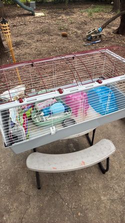 Guinea pig cage and supplies