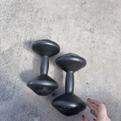 2 6.6 Pound Weights 