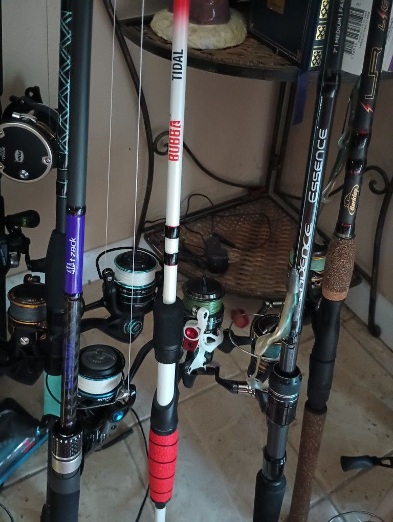 Penn Rod And Reel/ Shimano Rod And Reel