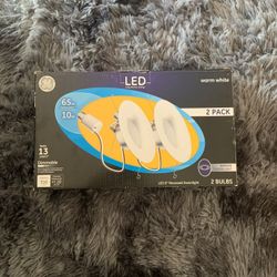 LED Downlight