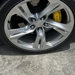 Rims 