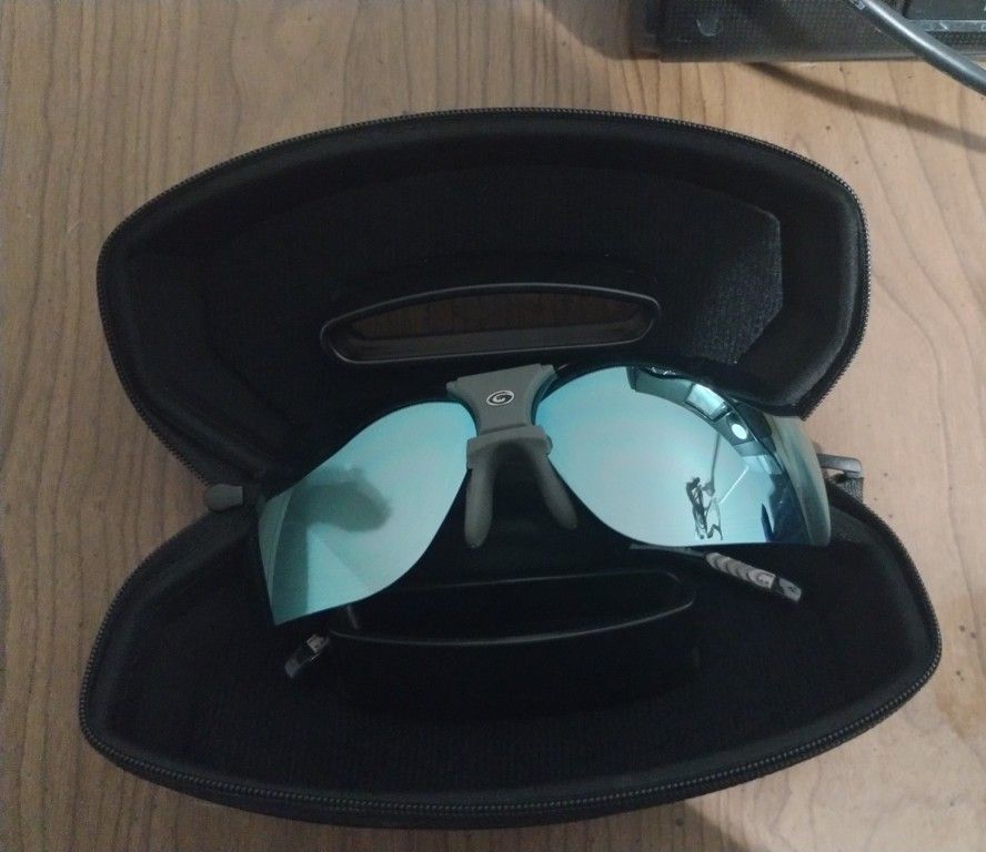 Gargoyle Sunglasses 