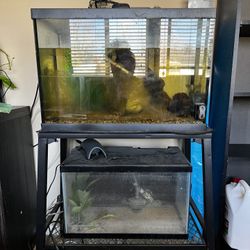 Fish Tanks With Stand & Decor 