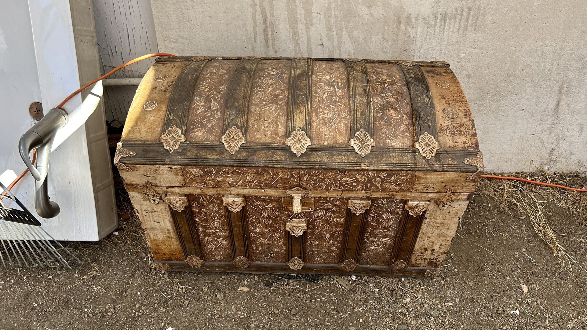 Antique Hump Back Trunk Animal Bird Designs All Over 1 Handle Off